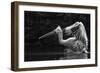 Folded Wings-C.S. Tjandra-Framed Photographic Print