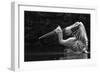 Folded Wings-C.S. Tjandra-Framed Photographic Print