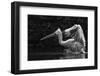 Folded Wings-C.S. Tjandra-Framed Photographic Print