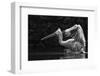 Folded Wings-C.S. Tjandra-Framed Photographic Print