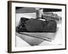 Folding Travel Chair-Elsie Collins-Framed Photographic Print