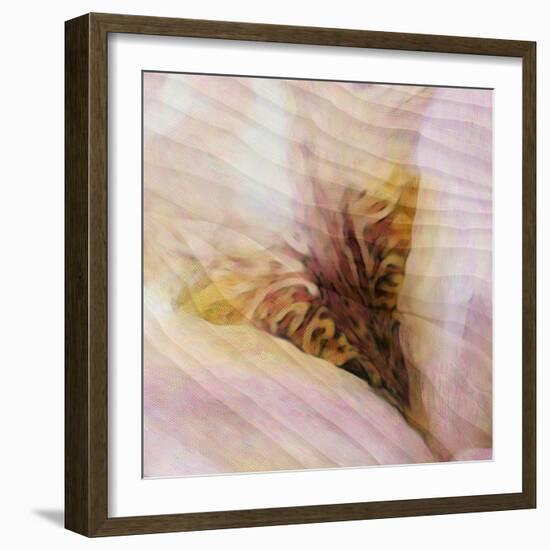 Folds of Fabric with an Iris-Trigger Image-Framed Photographic Print