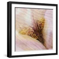 Folds of Fabric with an Iris-Trigger Image-Framed Photographic Print