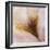 Folds of Fabric with an Iris-Trigger Image-Framed Photographic Print