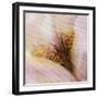 Folds of Fabric with an Iris-Trigger Image-Framed Photographic Print