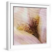 Folds of Fabric with an Iris-Trigger Image-Framed Photographic Print