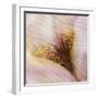 Folds of Fabric with an Iris-Trigger Image-Framed Photographic Print