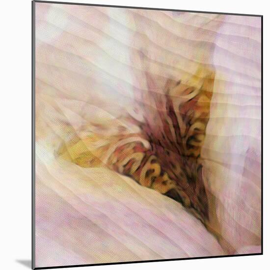Folds of Fabric with an Iris-Trigger Image-Mounted Photographic Print