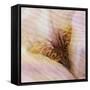 Folds of Fabric with an Iris-Trigger Image-Framed Stretched Canvas