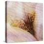 Folds of Fabric with an Iris-Trigger Image-Stretched Canvas