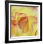 Folds-Michelle Wermuth-Framed Giclee Print