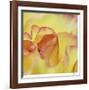 Folds-Michelle Wermuth-Framed Giclee Print