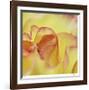 Folds-Michelle Wermuth-Framed Giclee Print