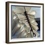 Folds-Magda Indigo-Framed Photographic Print