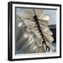 Folds-Magda Indigo-Framed Photographic Print