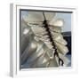 Folds-Magda Indigo-Framed Photographic Print