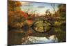 Foliage at Gapstow Bridge-Jessica Jenney-Mounted Photographic Print