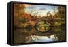 Foliage at Gapstow Bridge-Jessica Jenney-Framed Stretched Canvas