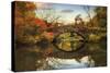 Foliage at Gapstow Bridge-Jessica Jenney-Stretched Canvas