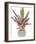 Foliage Auburn-Kristine Hegre-Framed Giclee Print