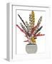 Foliage Auburn-Kristine Hegre-Framed Giclee Print