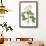 Foliage & Blooms IV-Thomas Nuttall-Framed Art Print displayed on a wall