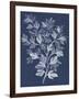 Foliage Chintz I-Vision Studio-Framed Art Print