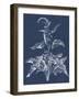 Foliage Chintz II-Vision Studio-Framed Art Print