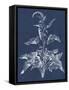 Foliage Chintz II-Vision Studio-Framed Stretched Canvas