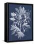 Foliage Chintz V-Vision Studio-Framed Stretched Canvas