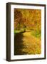 Foliage Covering Footpath at the Edge of a Forest, Ziegelroda Forest, Saxony-Anhalt-Andreas Vitting-Framed Photographic Print