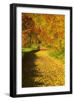 Foliage Covering Footpath at the Edge of a Forest, Ziegelroda Forest, Saxony-Anhalt-Andreas Vitting-Framed Photographic Print