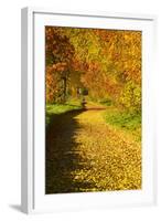 Foliage Covering Footpath at the Edge of a Forest, Ziegelroda Forest, Saxony-Anhalt-Andreas Vitting-Framed Photographic Print