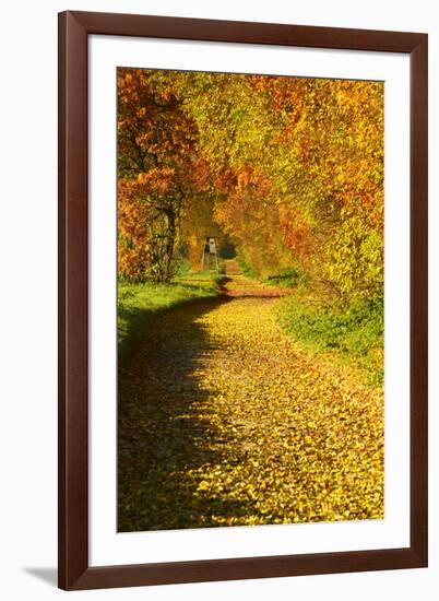 Foliage Covering Footpath at the Edge of a Forest, Ziegelroda Forest, Saxony-Anhalt-Andreas Vitting-Framed Photographic Print