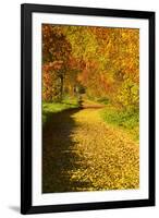 Foliage Covering Footpath at the Edge of a Forest, Ziegelroda Forest, Saxony-Anhalt-Andreas Vitting-Framed Photographic Print