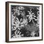 Foliage Dark 2-Melody Hogan-Framed Art Print