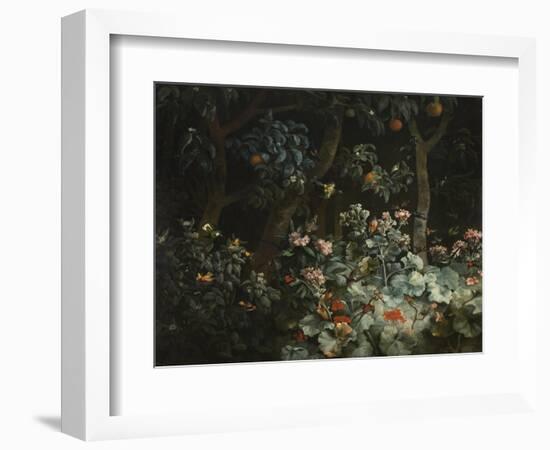 Foliage, Flowers and Birds, 1796-Philip Reinagle-Framed Giclee Print