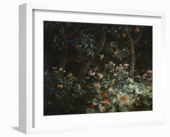 Foliage, Flowers and Birds, 1796-Philip Reinagle-Framed Giclee Print