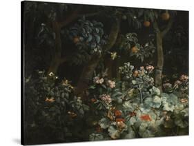 Foliage, Flowers and Birds, 1796-Philip Reinagle-Stretched Canvas