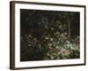 Foliage, Flowers and Birds, 1796-Philip Reinagle-Framed Giclee Print