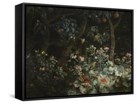 Foliage, Flowers and Birds, 1796-Philip Reinagle-Framed Stretched Canvas