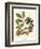 Foliage, Flowers and Fruit I-Vision Studio-Framed Art Print