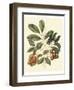 Foliage, Flowers and Fruit I-Vision Studio-Framed Art Print