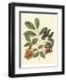 Foliage, Flowers and Fruit I-Vision Studio-Framed Art Print