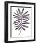 Foliage Fossil I-June Vess-Framed Art Print