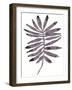 Foliage Fossil I-June Vess-Framed Art Print