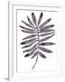 Foliage Fossil I-June Vess-Framed Art Print