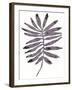 Foliage Fossil I-June Vess-Framed Art Print