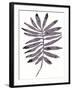 Foliage Fossil I-June Vess-Framed Art Print