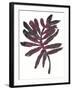 Foliage Fossil III-June Vess-Framed Art Print